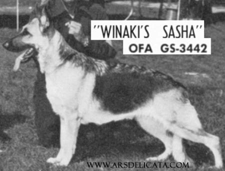 CH (US) Winaki's Sasha