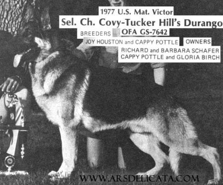SEL CH Covy Tucker Hill's Durango