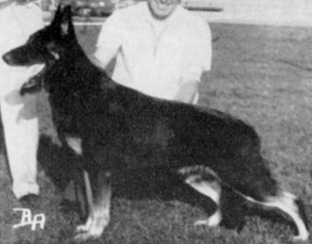 CH (US) Von Ludwig of Oak Glen