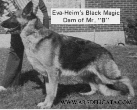 Black Magic vom Eva-Heim