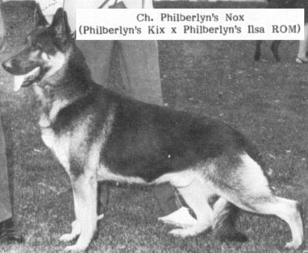 CH Philberlyn's Nox