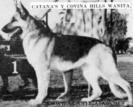 CH Catana's y Covina Hills Wanita