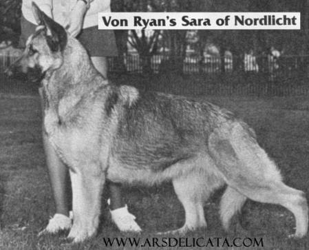 Von Ryan's Sara of Nordlicht