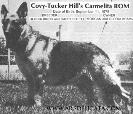 Covy-Tucker Hill's Carmelita
