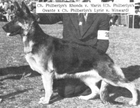 CH (US) Philberlyn's Rhoda Of Marin