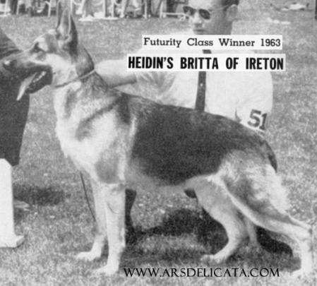 CH (US) Heidin's Britta of Ireton