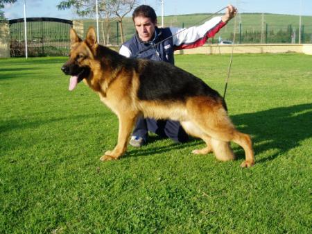 V Wotan vom Team Fiemereck