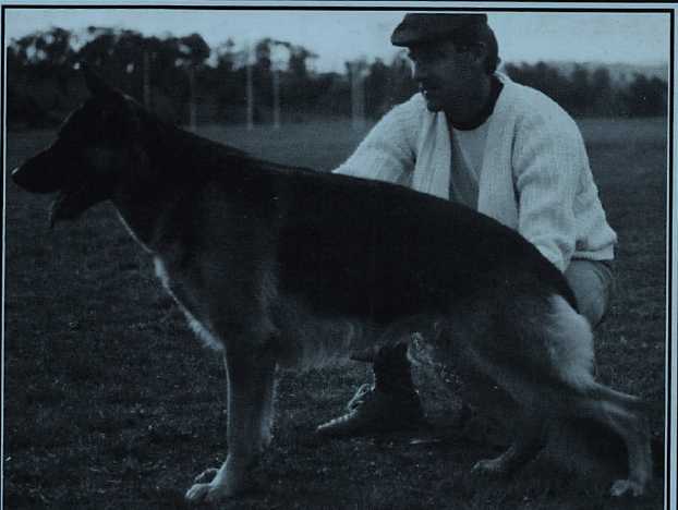 EX CH Bedwins Finnigan