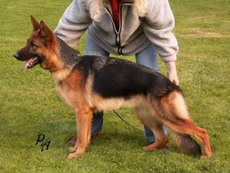 V Lola von Pallas Athene