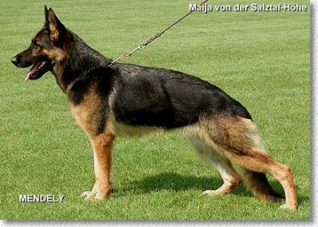 V Maija von der Salztal-Höhe