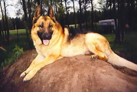 Clyde V Der House Hurlbert