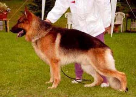 Vax vom Haus Sommerlade