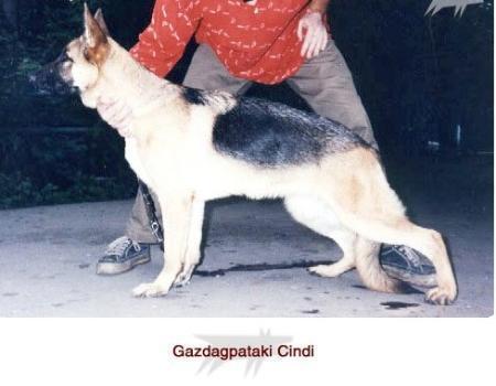 Gazdagpataki Cindi