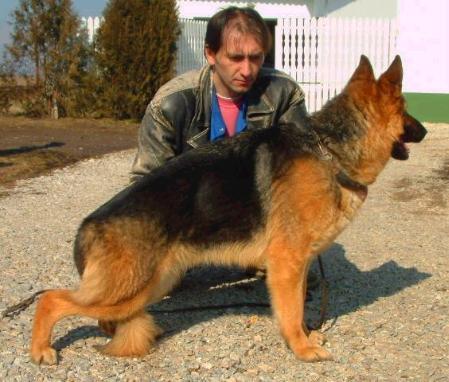 V Holly in Regnum Marianum