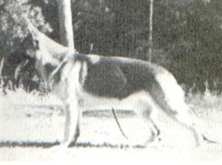 KORAD Bolanas Egheera