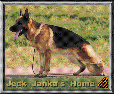 Jeck Janka's Home