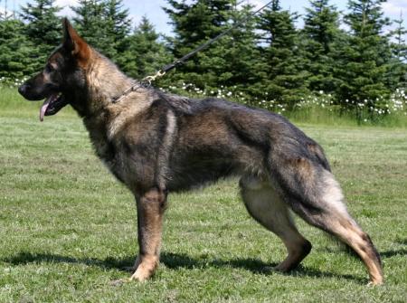 Iras von Haus Katernburg