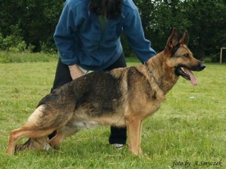 Jurata z Hetmanskiej Sfory