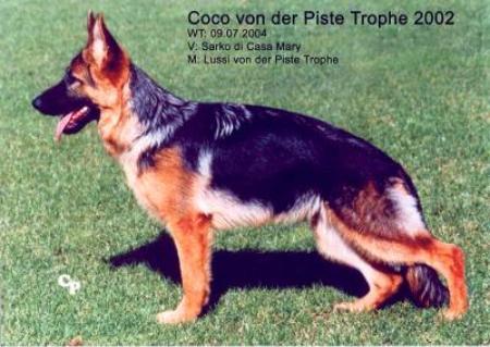 V Coco von der Piste Trophe 2002