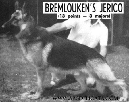 Bremlouken's Jerico