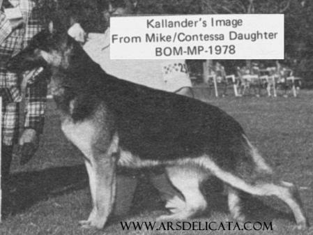 Kallander's Image