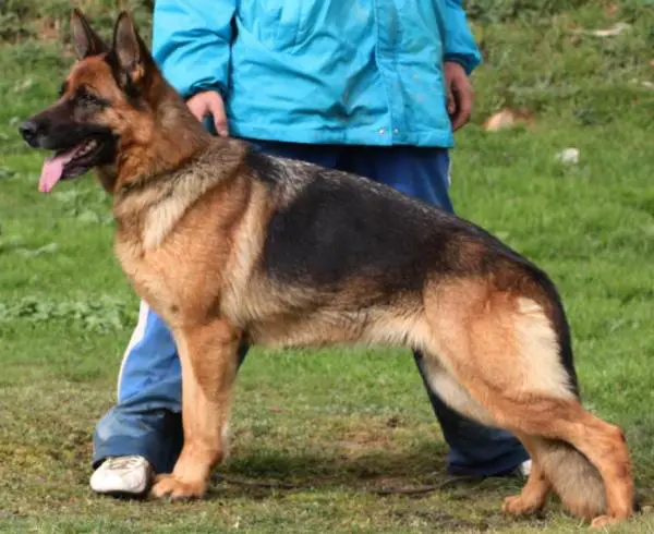 Taska vom Kirschental