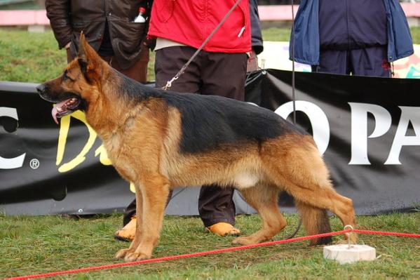 VA 1 (RO) Tenno de Bonanza