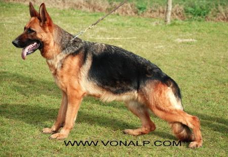 SG1 (RO) Faria von Haus Bura