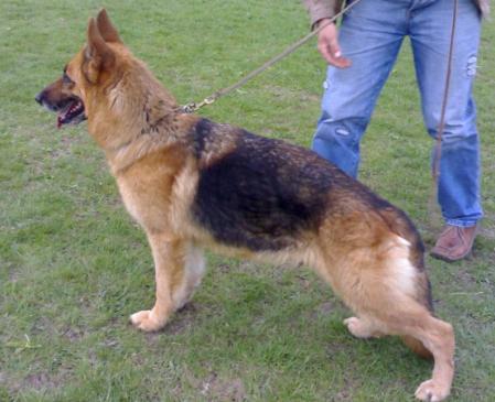 V.  CAC una vom haus selia