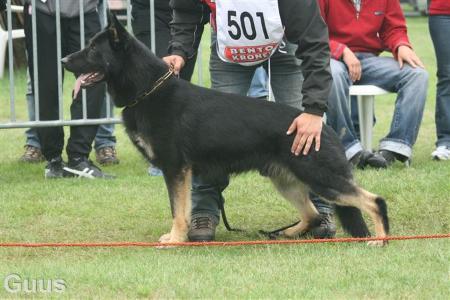 SG Endigo Black Creek valley