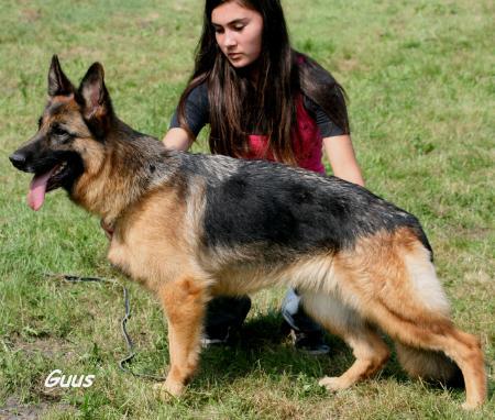 V Zaire zur Worringer Rheinaue