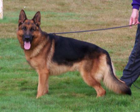 V Yasko van Lammersbeek