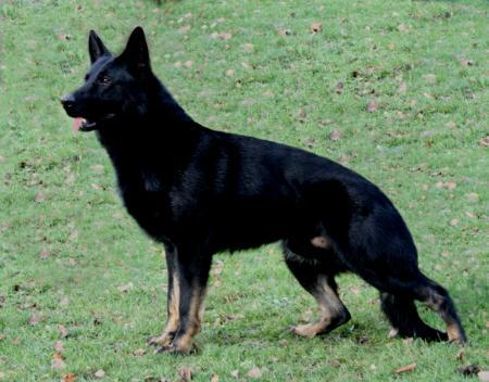 SG Gaitano von der Staatsmacht