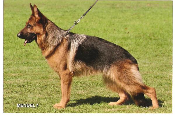 Renate von Bad- Boll