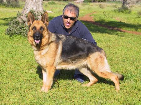 Mora di Val Chemonia