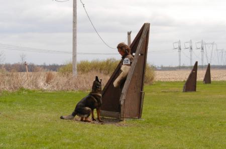 lewis von der vinessa