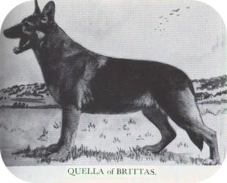 Quella of Brittas