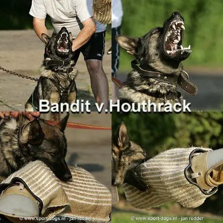 Bandit v Houthrack