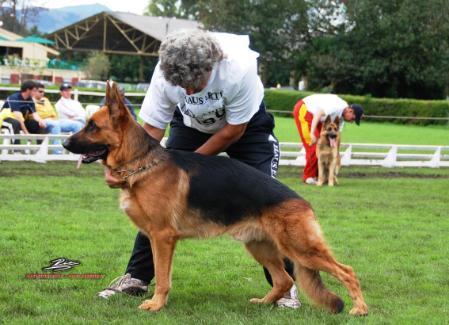 SG1 (COL) Carlos von Oxsalis