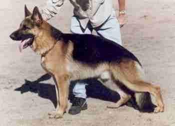 V Lenn von der Kiefernschlucht