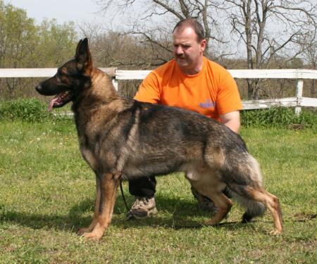 Gary vom Arolser Holz