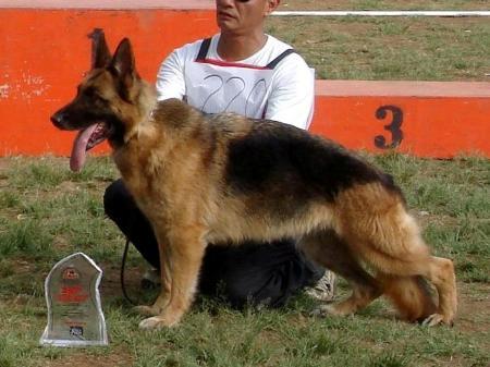 V (PH) Tini of Greenwater