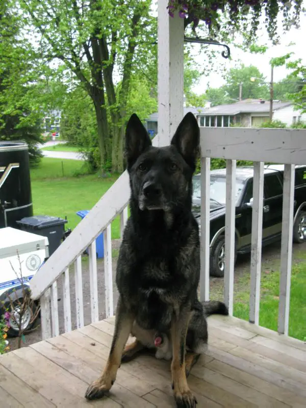 SG Silas von der Jubricht