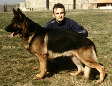 Rondo Crveni Mayestoso