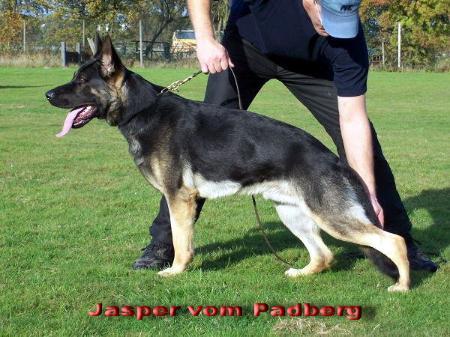 G Jasper vom Padberg