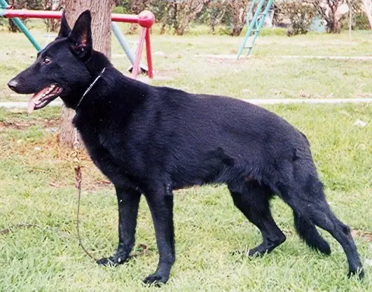 Xatho (Lira)