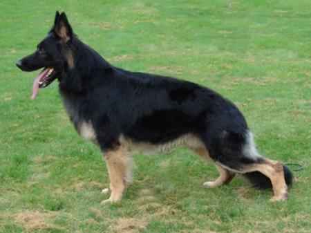 Calle von Bispinghoff