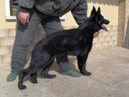 Hetja vom Gräfental