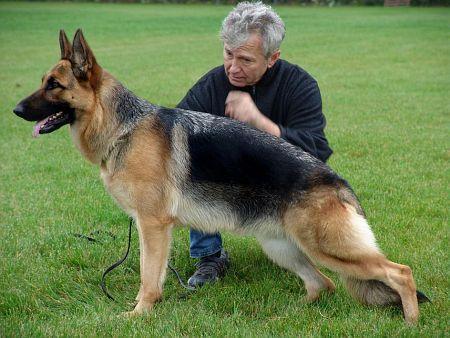 V Ullia vom Bierstadter Hof