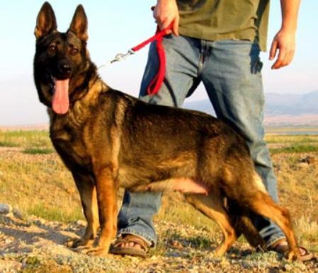 SG Hafa zo tiavnických hôr